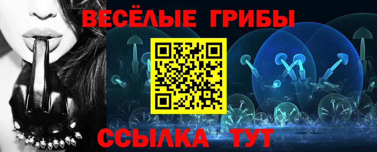 Псилоцибиновые грибы GOLDEN TEACHER  Псилоцибиновые грибы мухоморы  Вход с VPN  Архангельск 