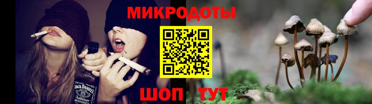 Галлюциногенные грибы Psilocybe Архангельск